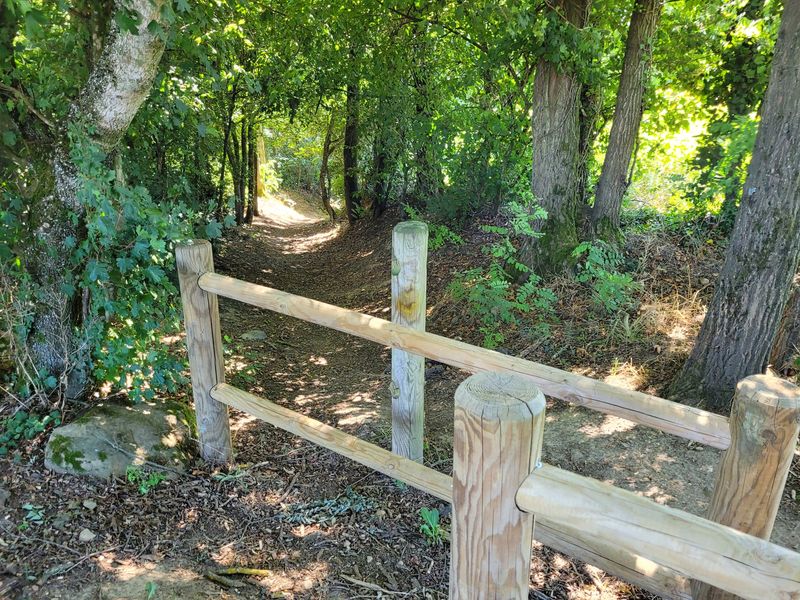 Sur le sentier de SMB