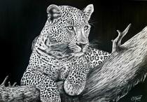 Exposition "Safari"_Saint-Jean-de-Soudain