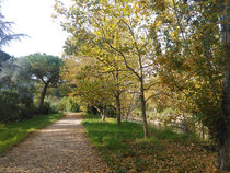 Balade au fil du Loup - Villeneuve-Loubet