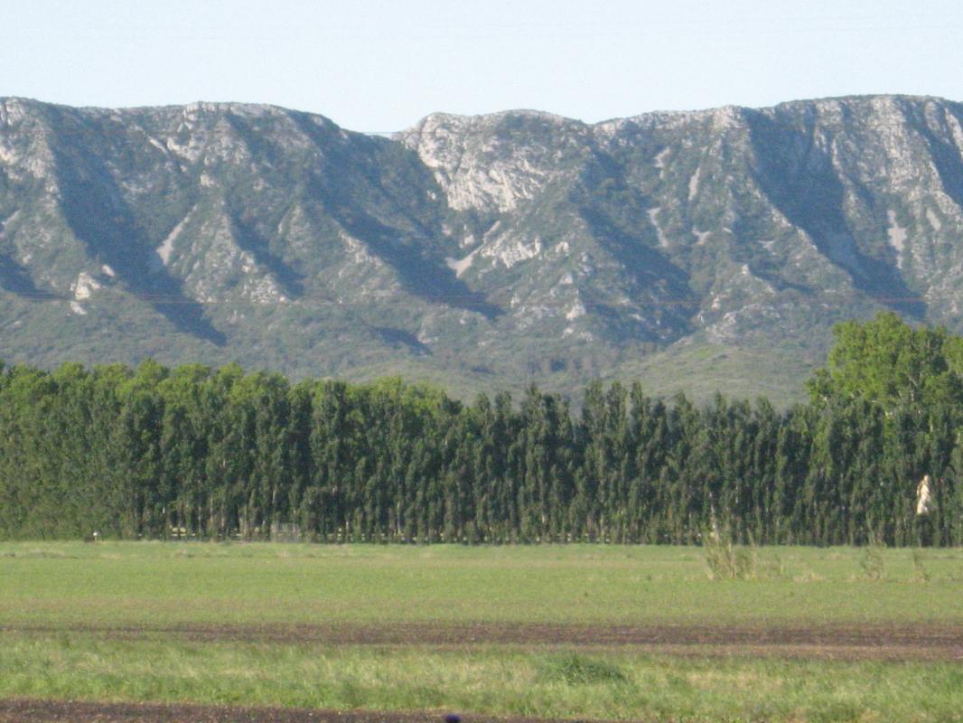 La Roubine, Mollégès - photo 6