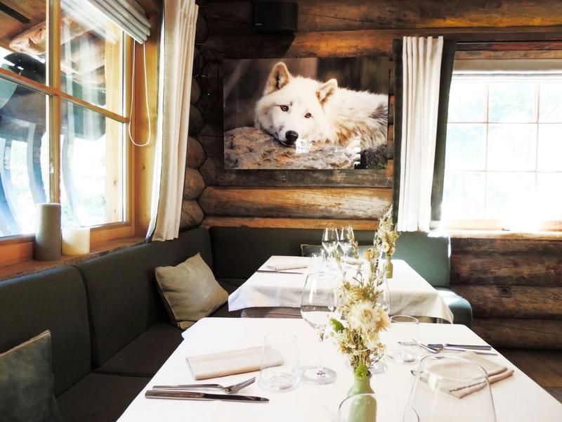 Cabane Intérieur loup blanc