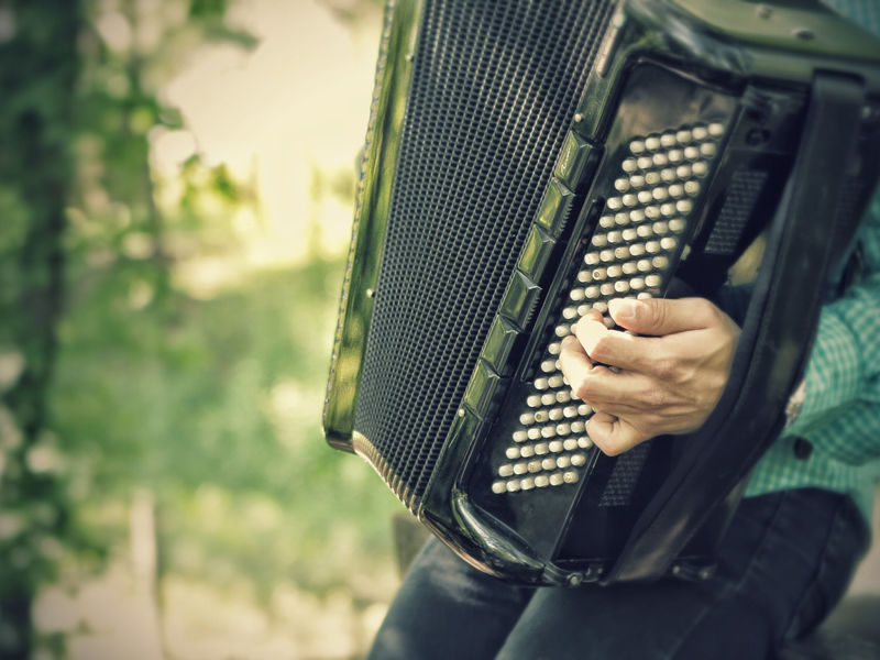 Un musicien avec un accordéon