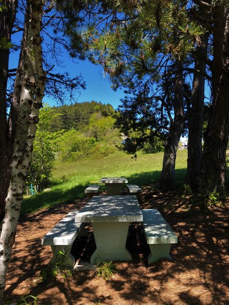 Randonnée pédestre : La croix d'Innimond