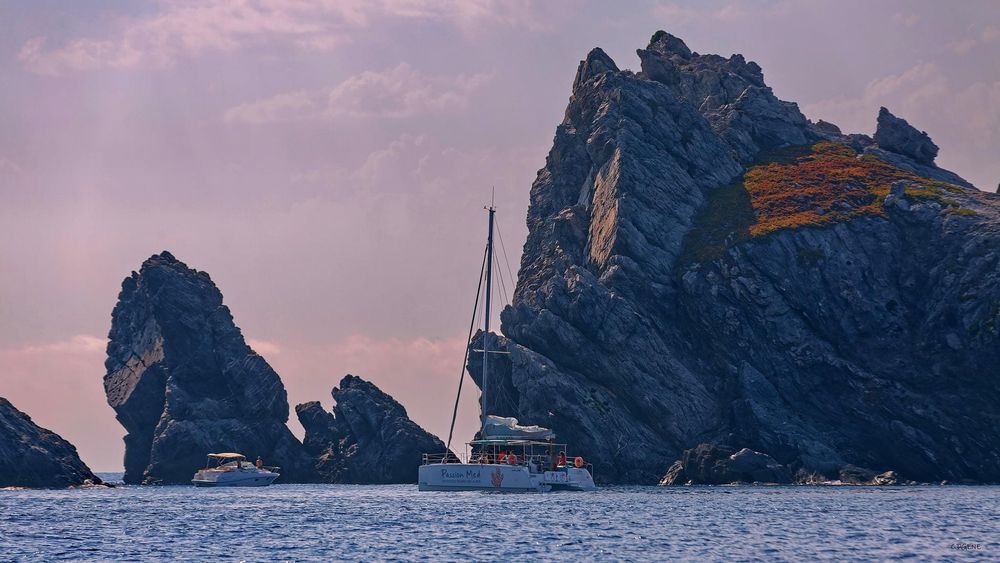 Sortie catamaran Porquerolles passion med