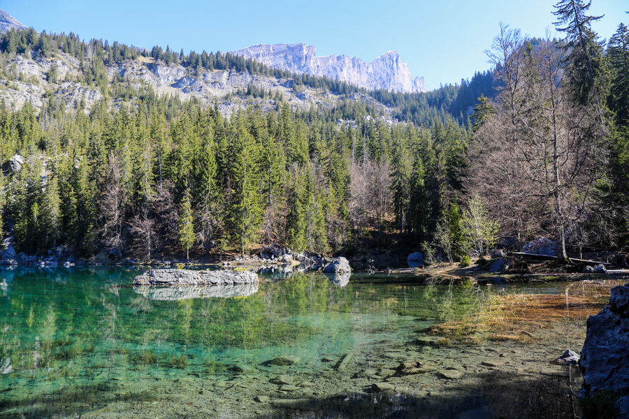 Randonnée Lac Vert