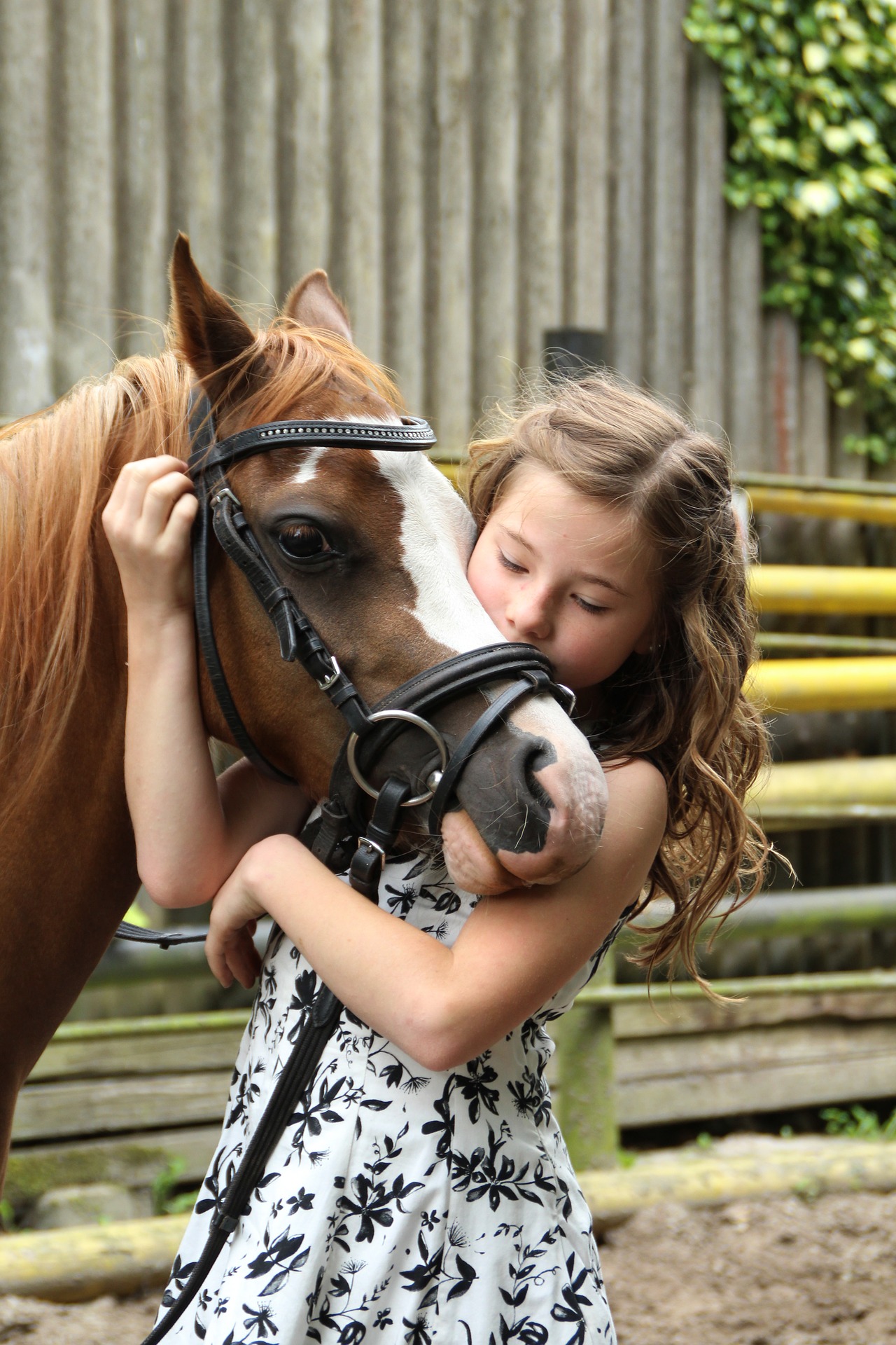 Horse Riding