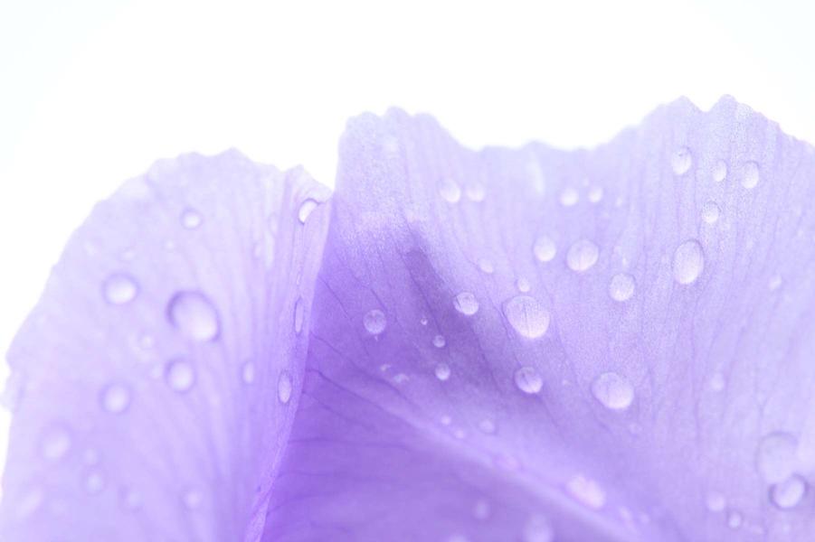 Atelier Photo nature