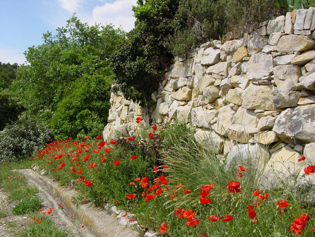Ecogîte Le Loubatas, Peyrolles-en-Provence - photo 21