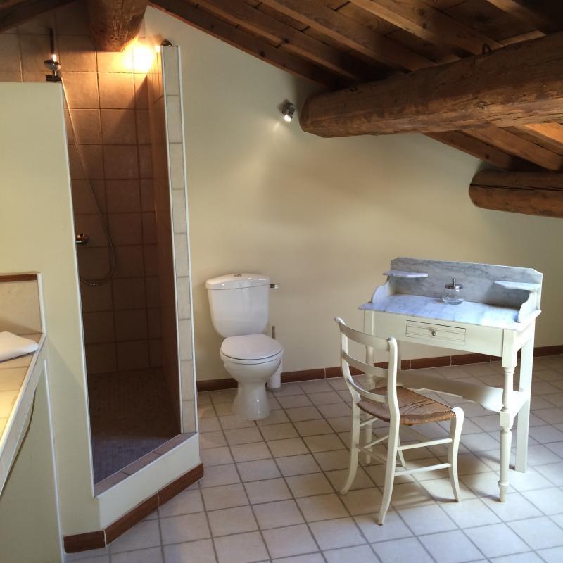 Mas du Breuil, Graveson - photo 8