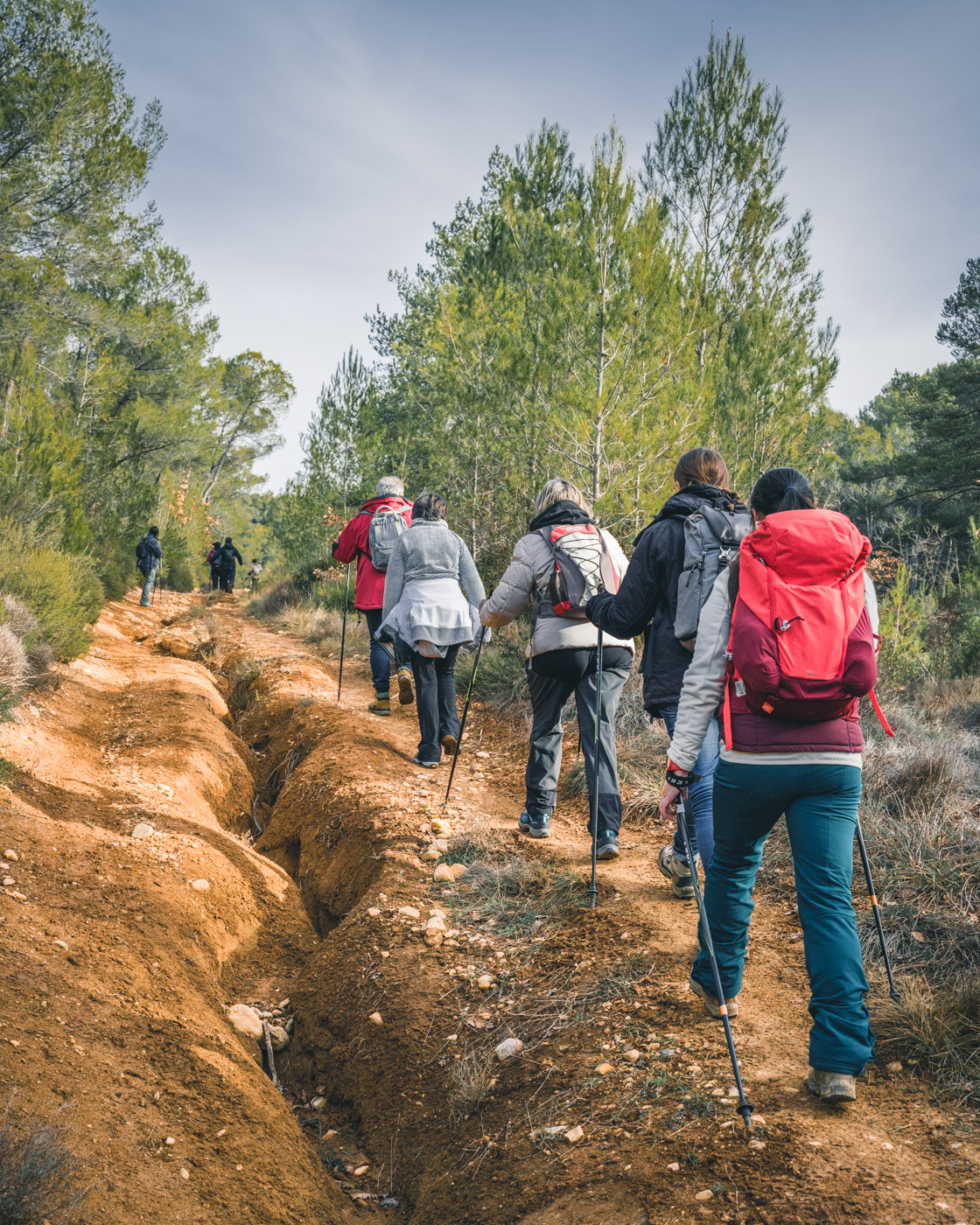 Marche Nordique en Sud Luberon