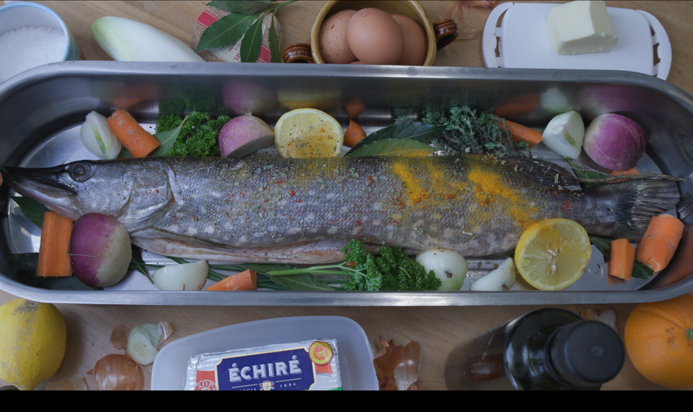 Extrait du film Ici commence la mer