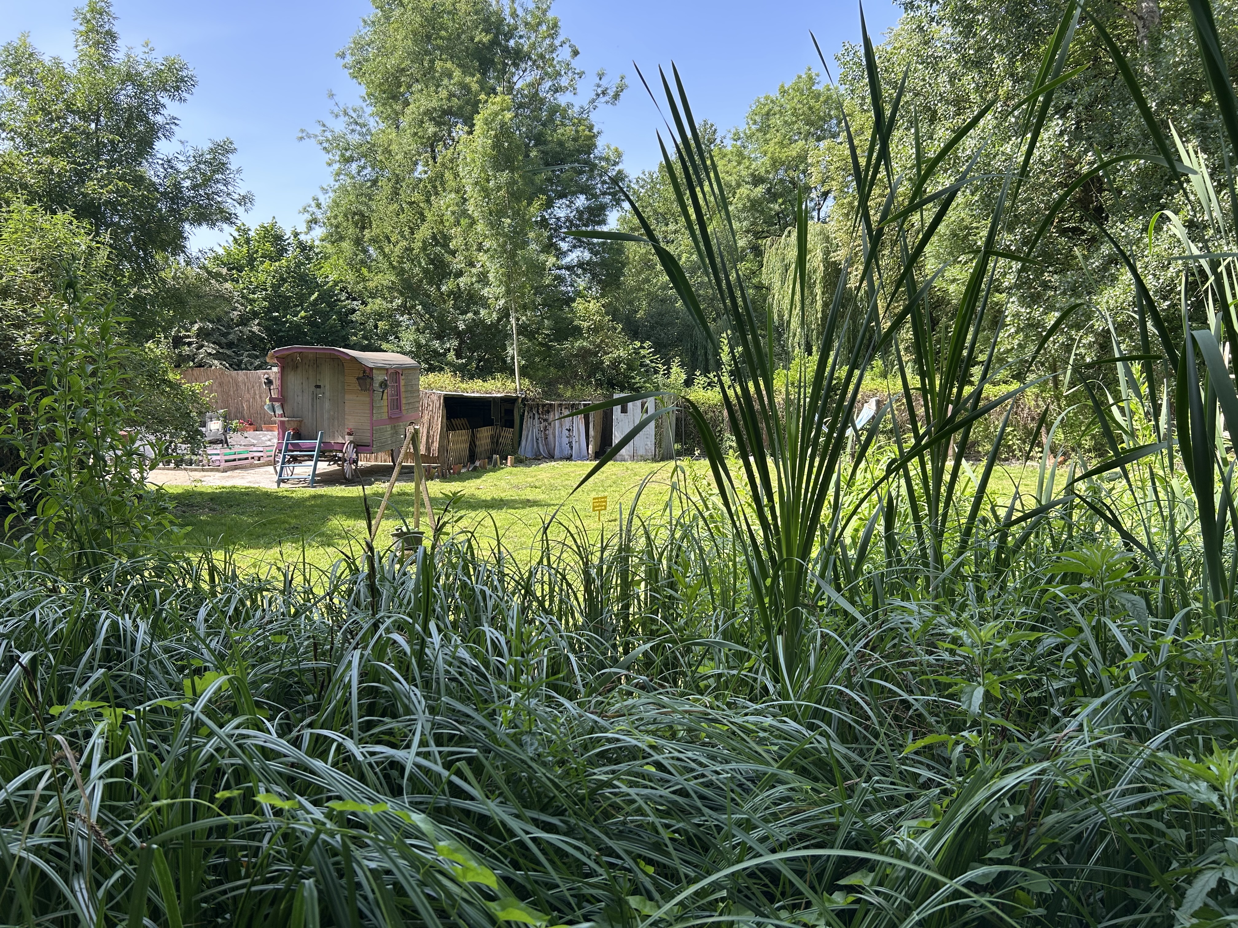 Séjour au vert dans une roulotte en Charente Maritime