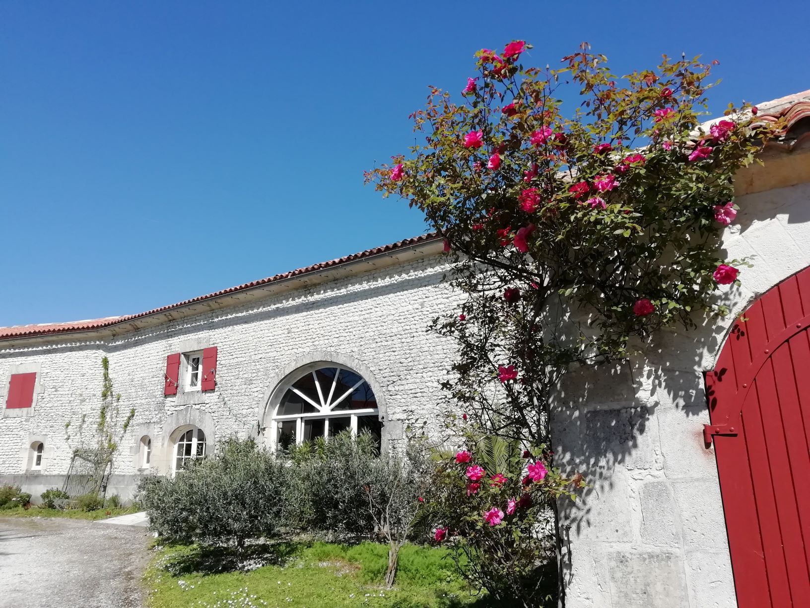 Les après-midi du Domaine - Domaine des Tonneaux