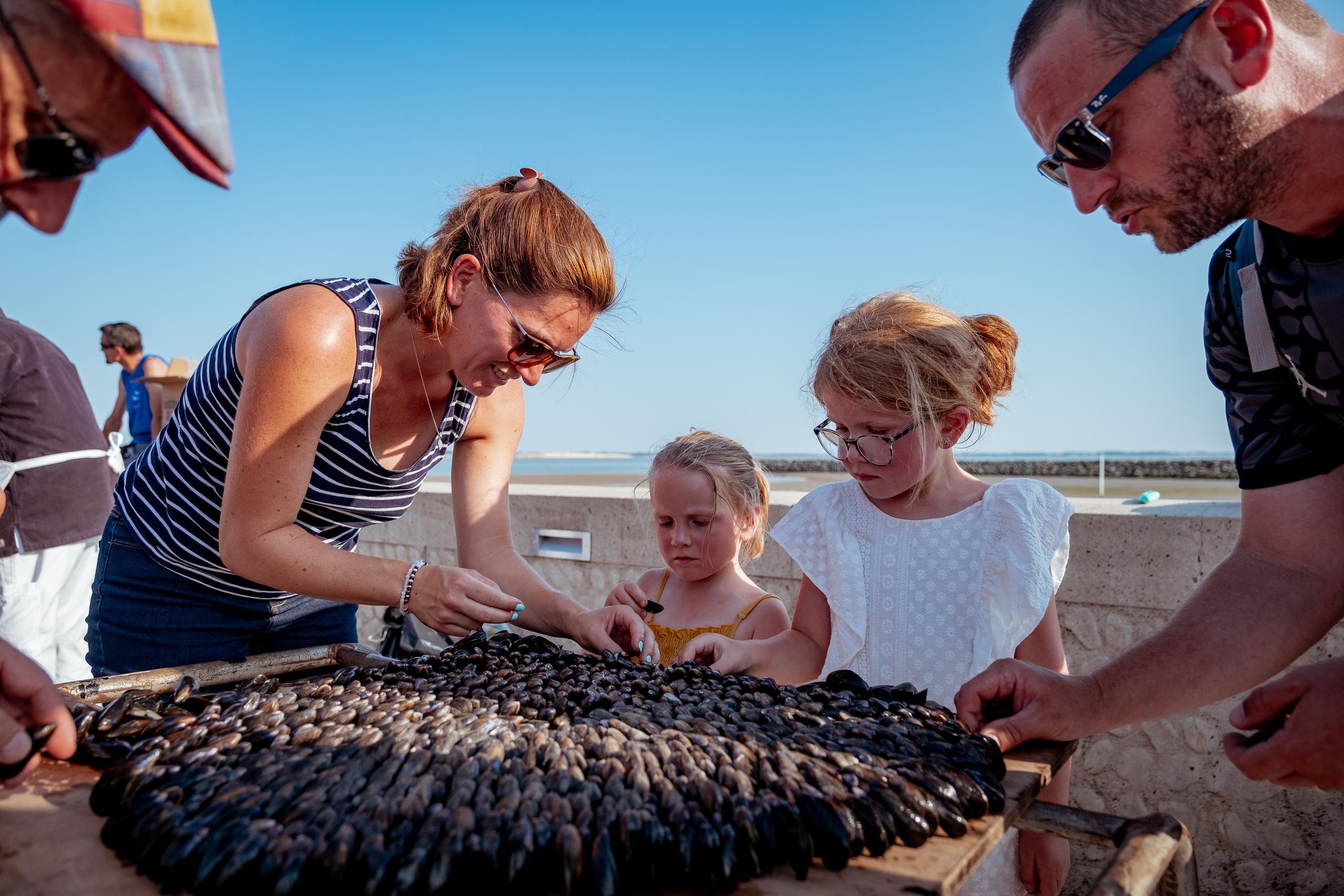 Fête des Boucholeurs, fête des huîtres et des moules