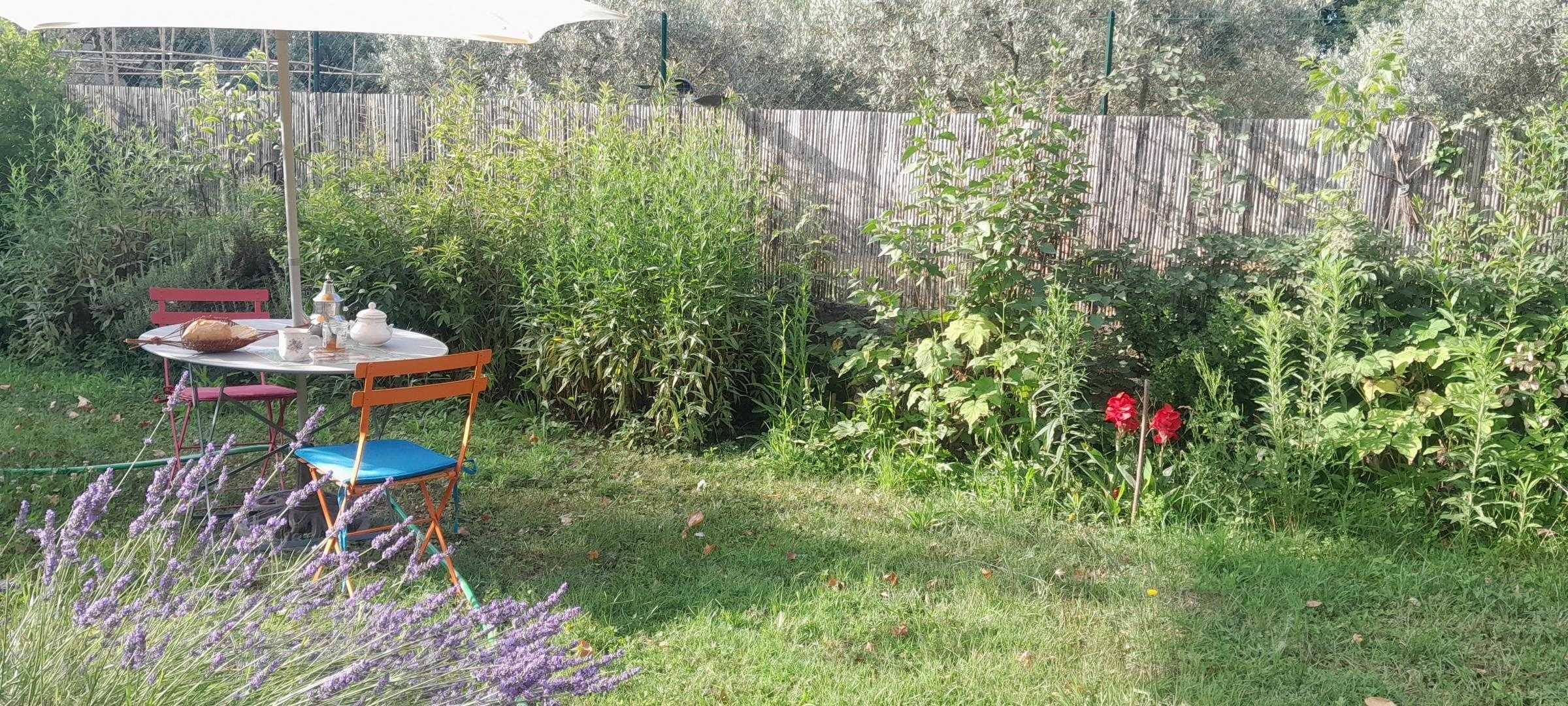 Lou Soulèu Me Fai Canta, Saint-Rémy-de-Provence - photo 3