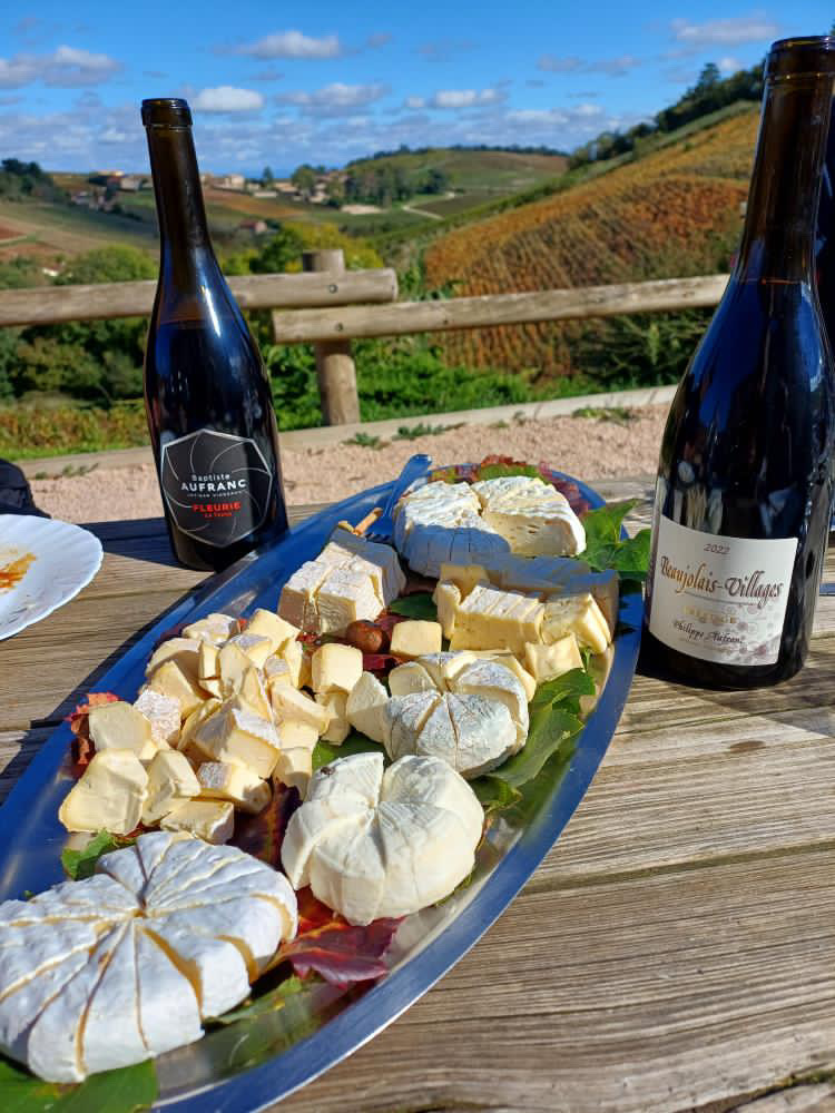 Visite commentée, dégustation et mâchon