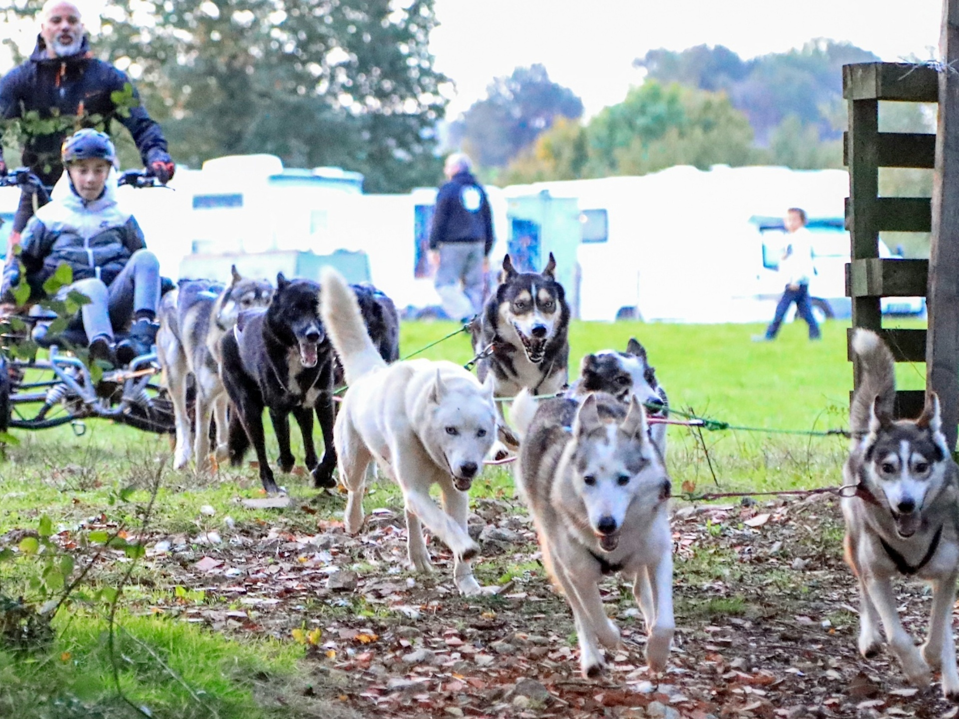 Nordik Wild Kennel