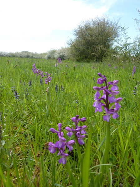 ENS plateau Mornantais-3