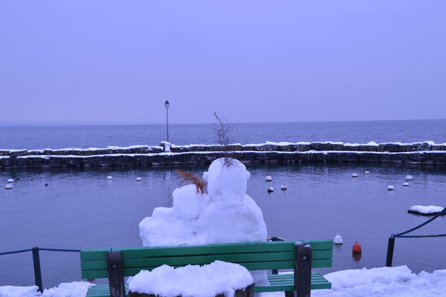 le port en hiver