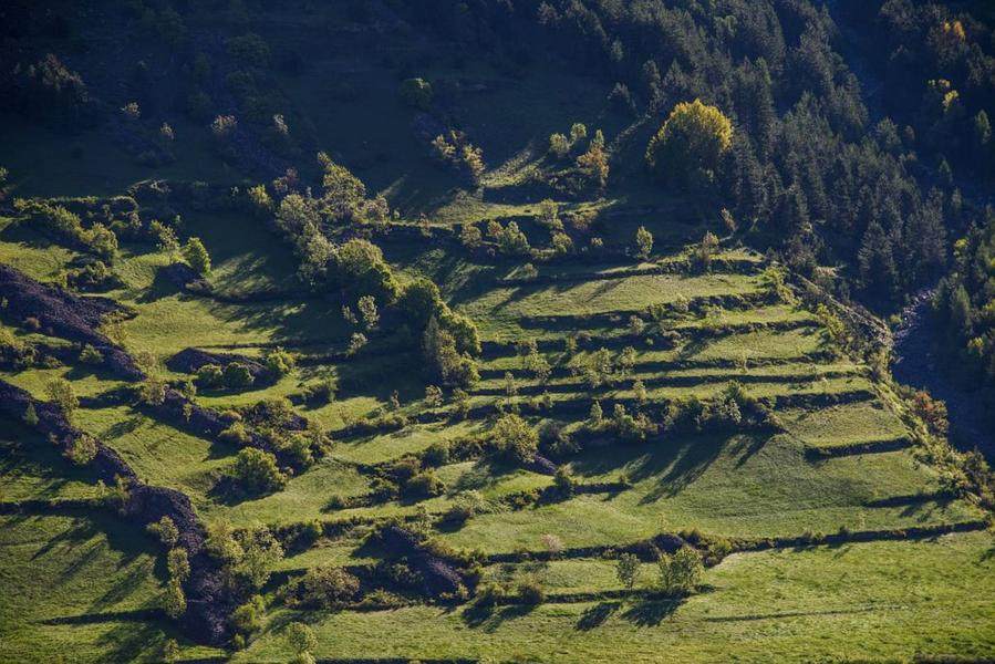 Sortie à la découverte des murets en pierres sèches
