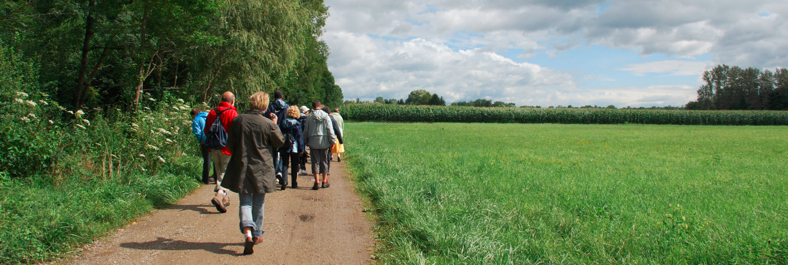 BALADE GOURMANDE DU FOYER RURAL