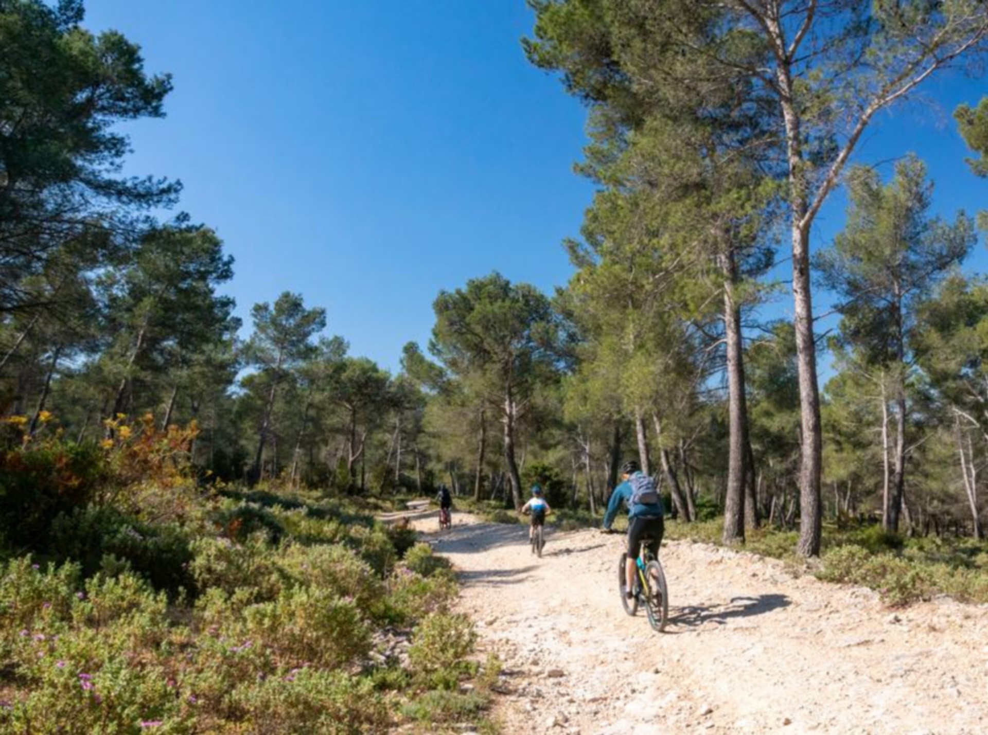 Balade vélo