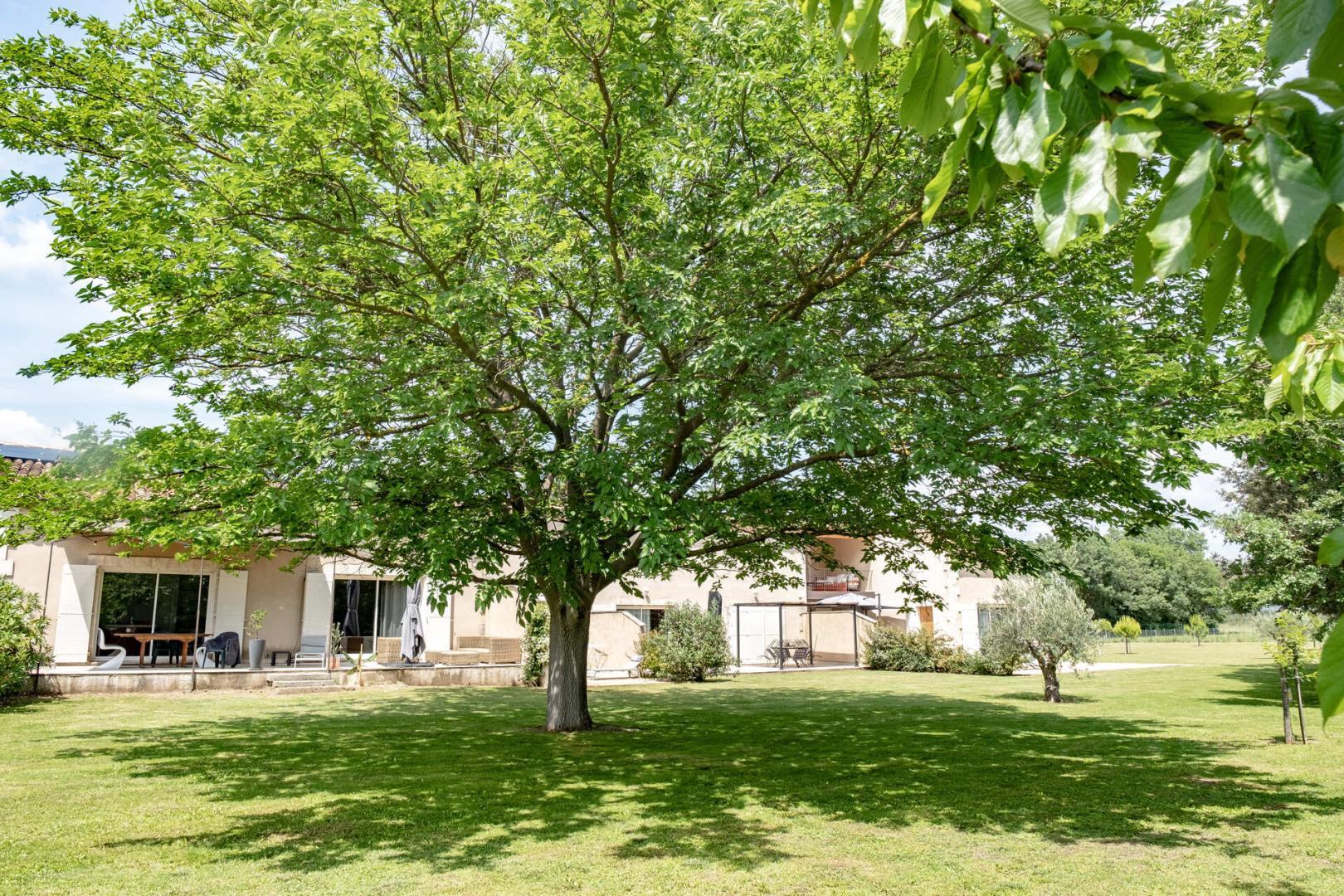 Mas Papabiou - Romanin, Eygalières - photo 23