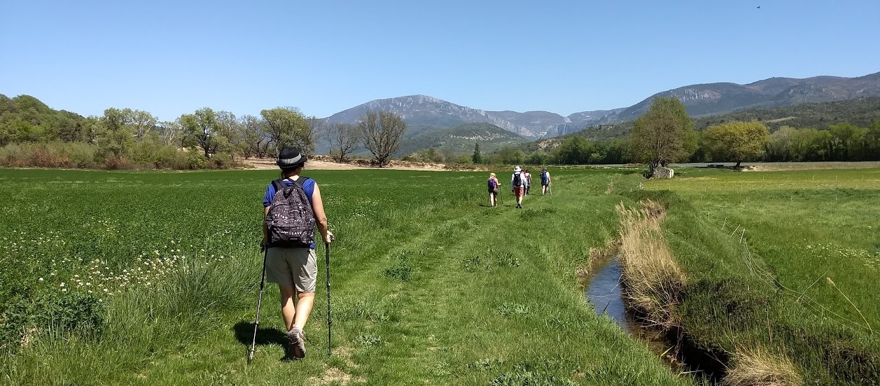 Randonnée accompagnée entre Haute Provence et Verdon