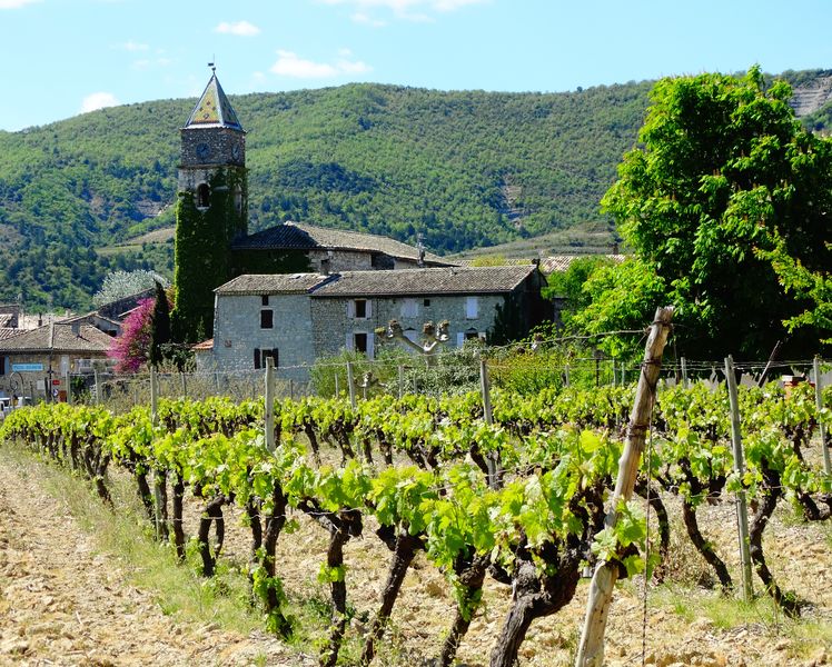 Visite du village et balade viticole à Valvignères
