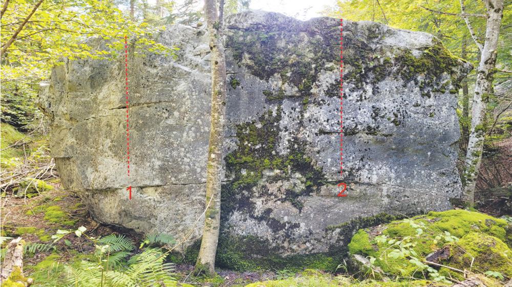 Blocs d'escalade du Plateau d'Assy_Passy