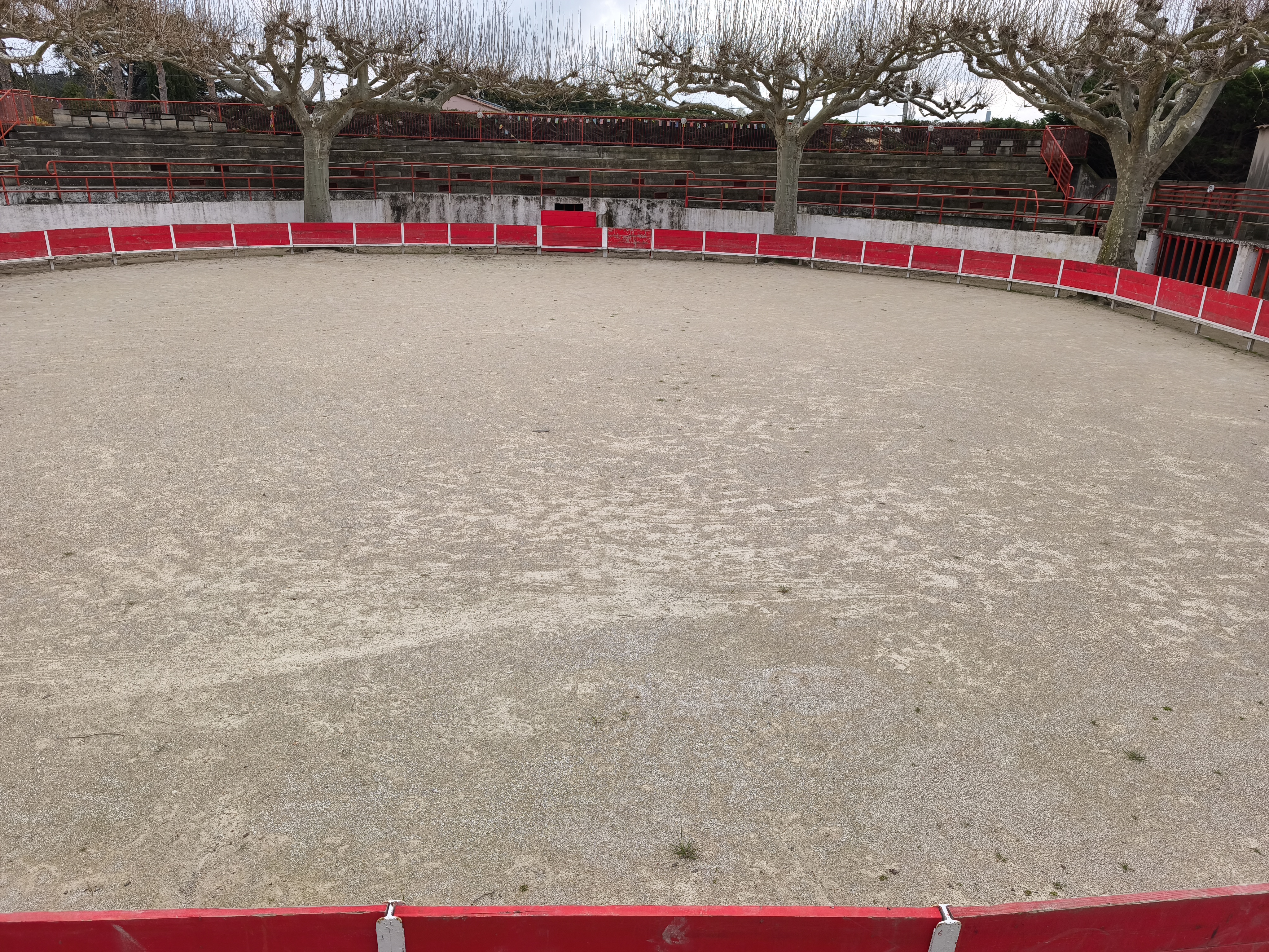 Arènes Francis Chaine - Paluds de Noves, Noves - photo 3