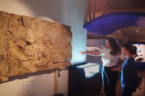 Exposition Sirènes et Fossiles