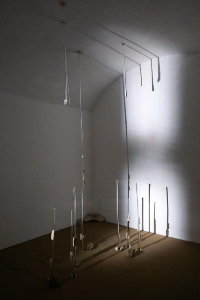 Charlotte Charbonnel