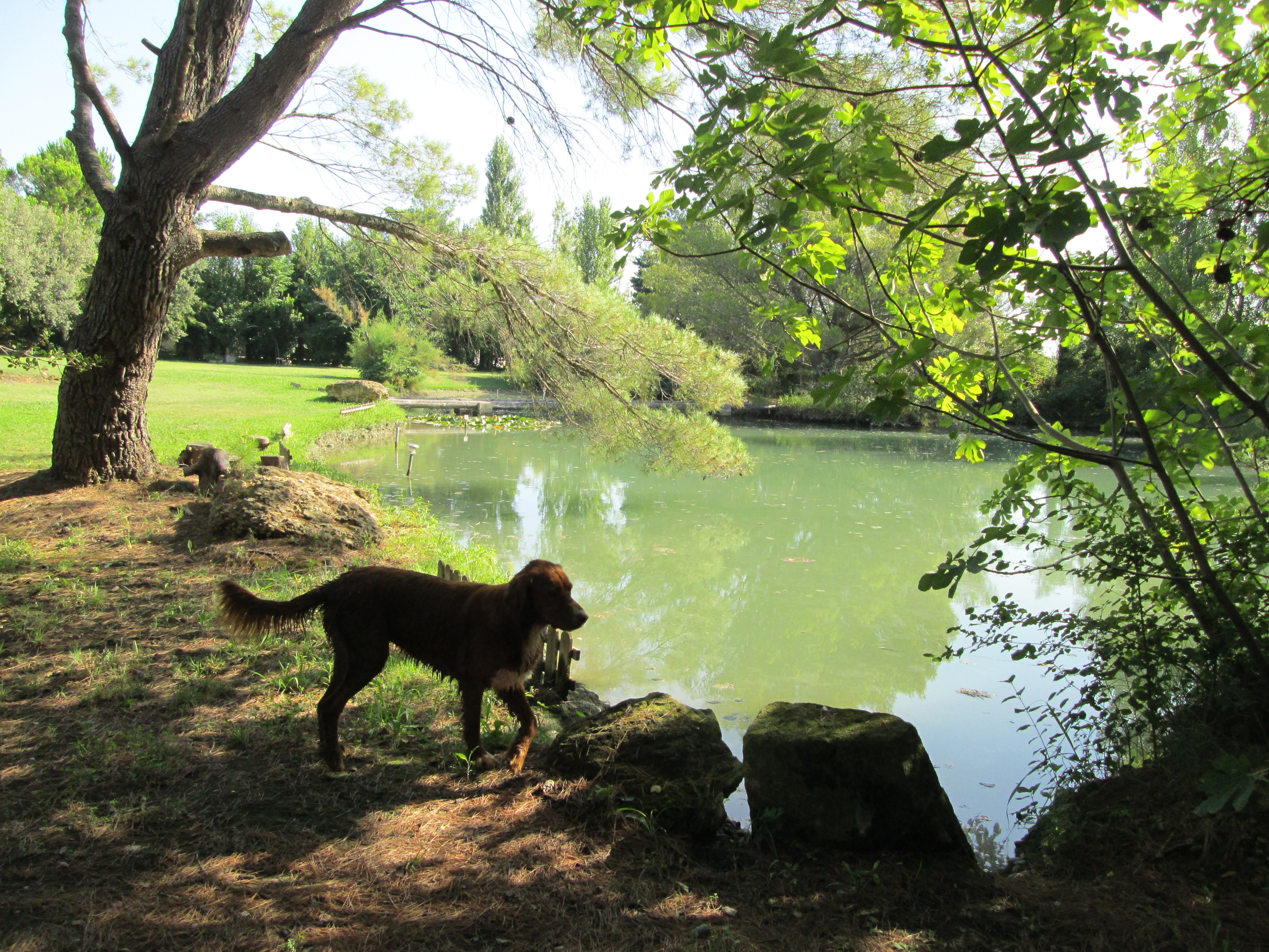 Villa du Paradis 50m2 - 4 personnes