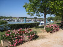 Bateaux et fleurs