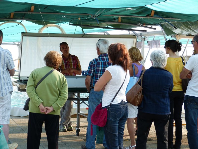 Visite des serres de spiruline