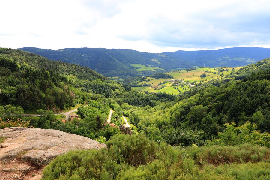 Sentier d'interprétation de la Tortue - boucle de 700m_Bourg-Argental