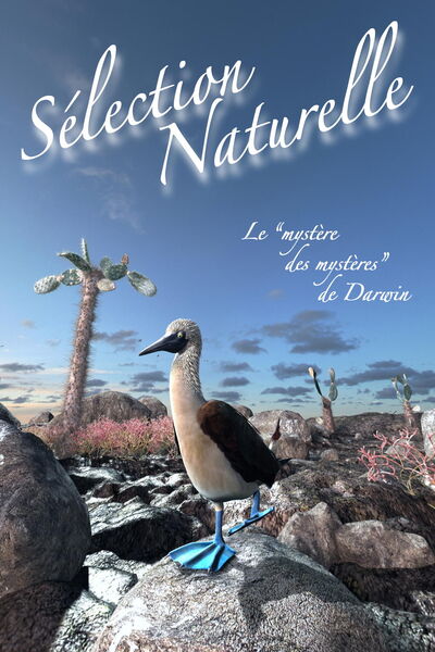 Sélection Naturelle Affiche