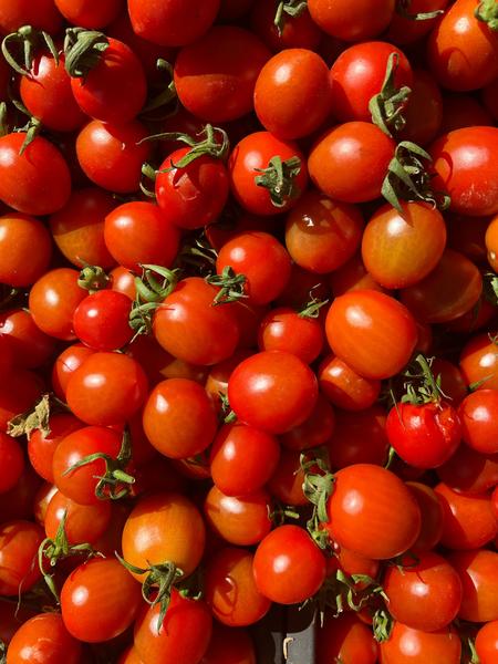 Atelier - Cuisine de saison : la tomate