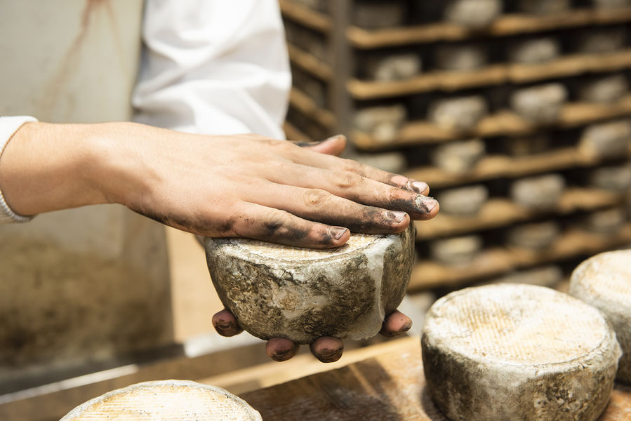 Coopérative laitière de Yenne