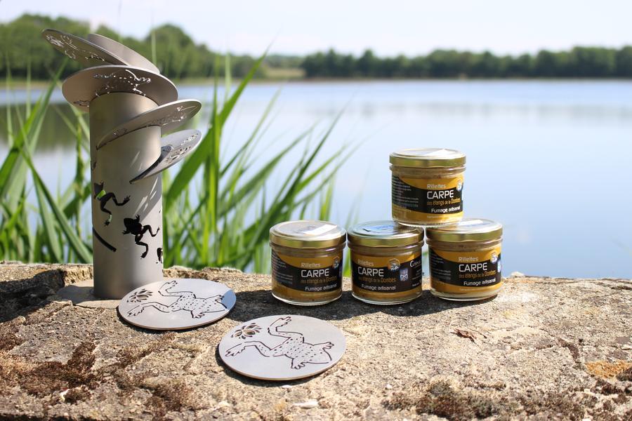 Excursion : L'étang et ses facettes