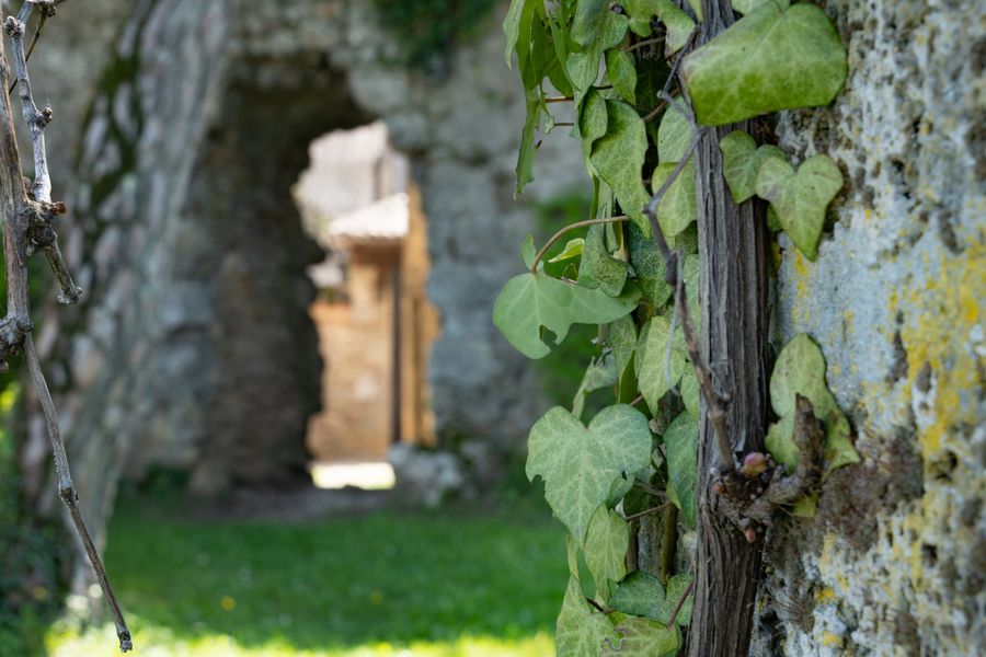 Cité médiévale de Pérouges
