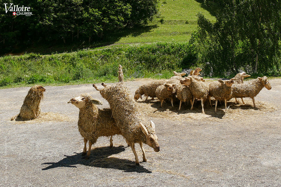 PEIGNIER Philippe / BAZELAIRE Laëtitia  « Saute-mouton