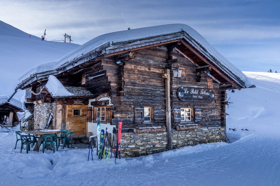 le petit tétras en hiver