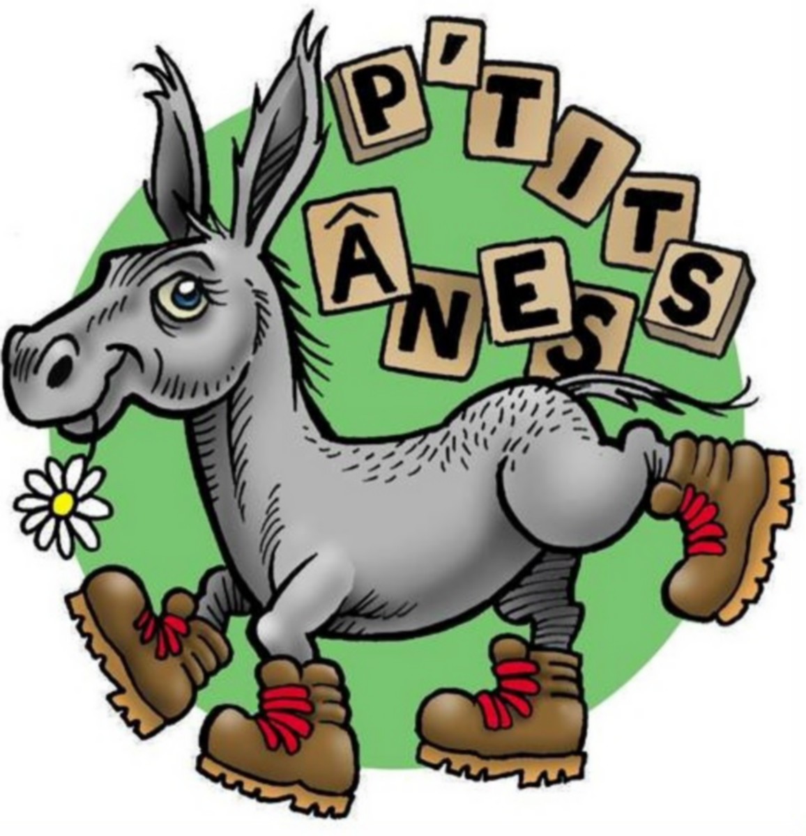 P'tits Ânes, Graveson - photo 3