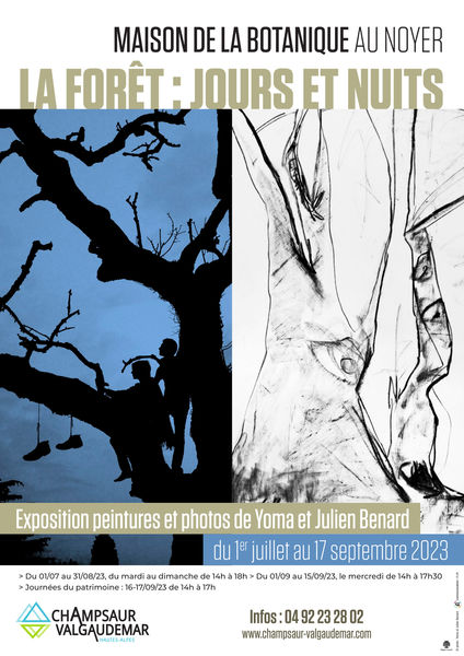 Exposition ' La forêt : jours et nuits' à la maison de la botanique , Le Noyer - � Service Culture et Patrimoine Champsaur Valgaudemar