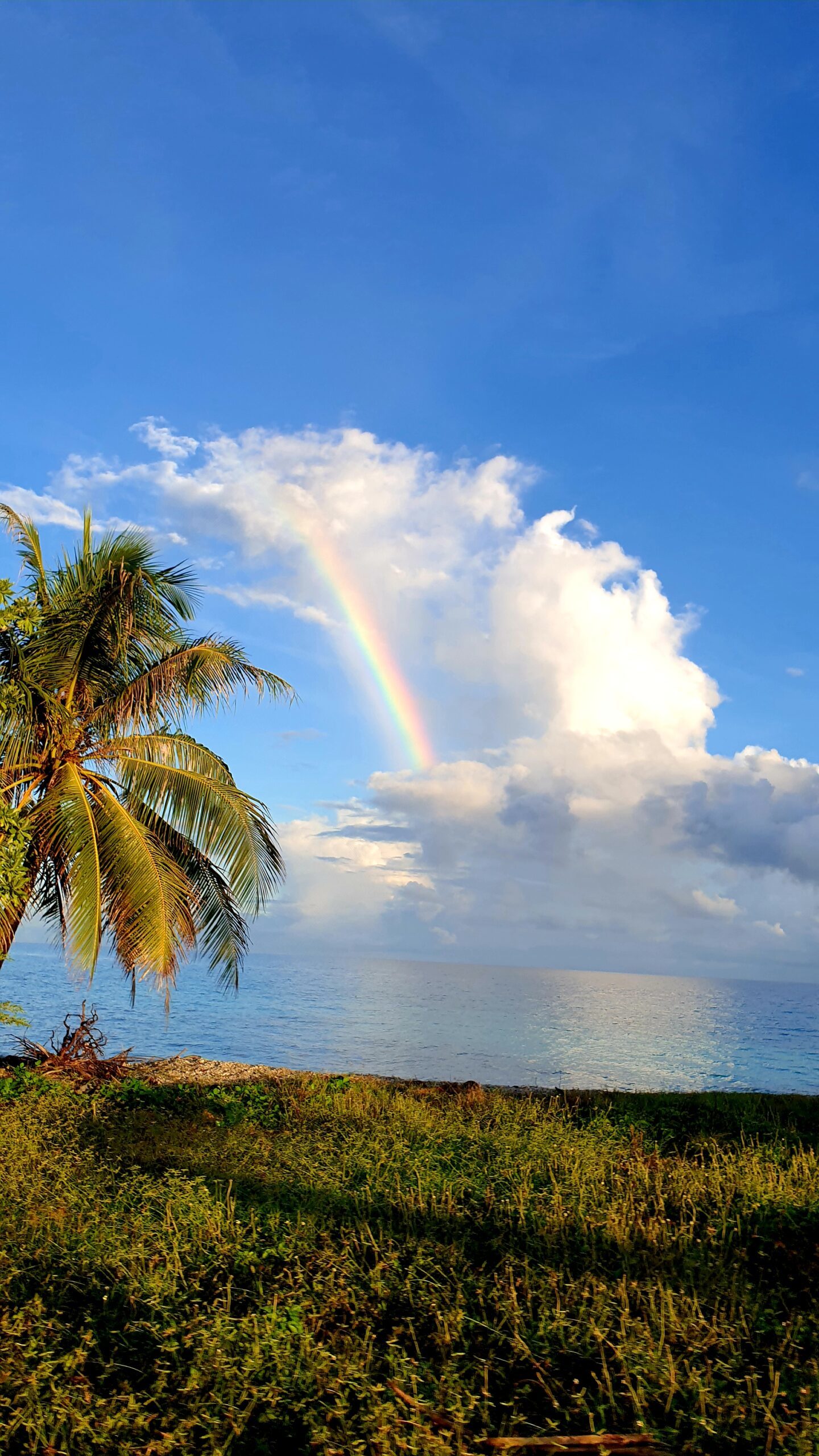 Rangiroa Plage