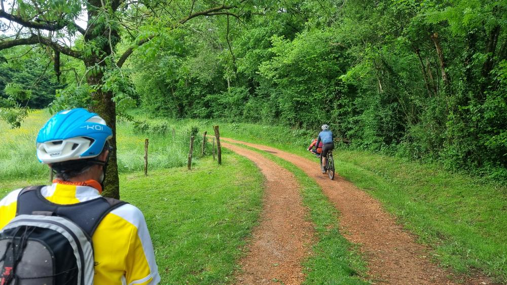 Circuit VTT-VTC n°21 (bleu) Cheminées Sarrasines & Etangs bressans