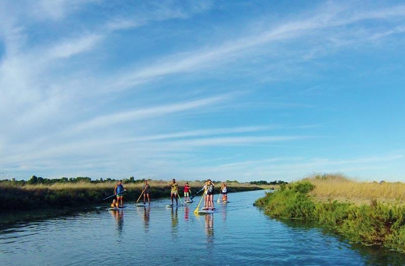 Randonnée en stand-up paddle dans les espaces naturels par Sup Évasion aux Portes-en-Ré