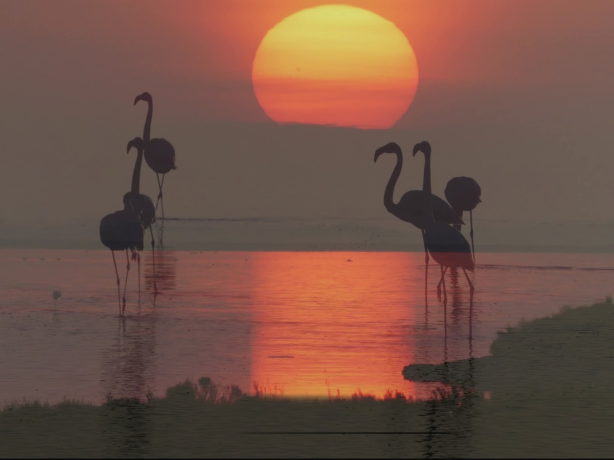 Couleur Camargue, Arles - photo 8
